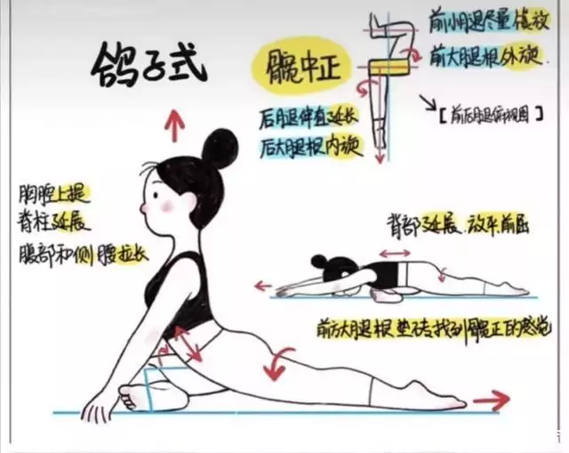 喜欢瑜伽的明星_喜欢瑜伽的健身明星_明星练瑜伽容貌变化对比照