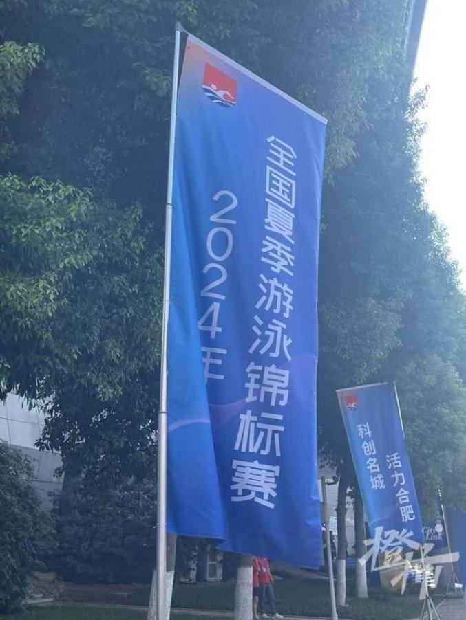 有游泳冠军 杨_游泳运动员杨_游泳冠军叫杨什么名字